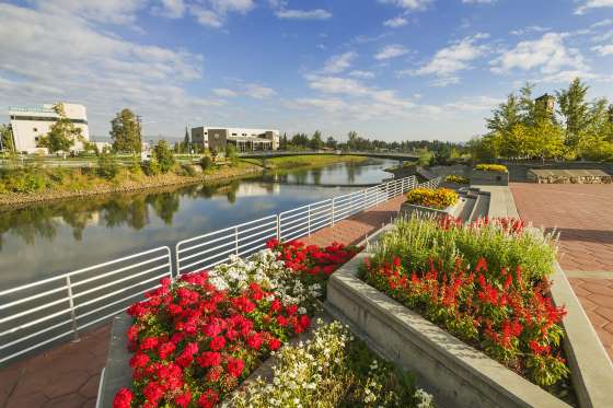 Những bông hoa mùa hè tại Vườn Golden Heart ở trung tâm thành phố Fairbanks trong tiết hạ chí, khi mặt trời không bao giờ ngủ.