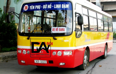 xe bus 36